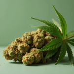 Could XRP Repeat Its July 2025 Rally? Price Update and Expert View